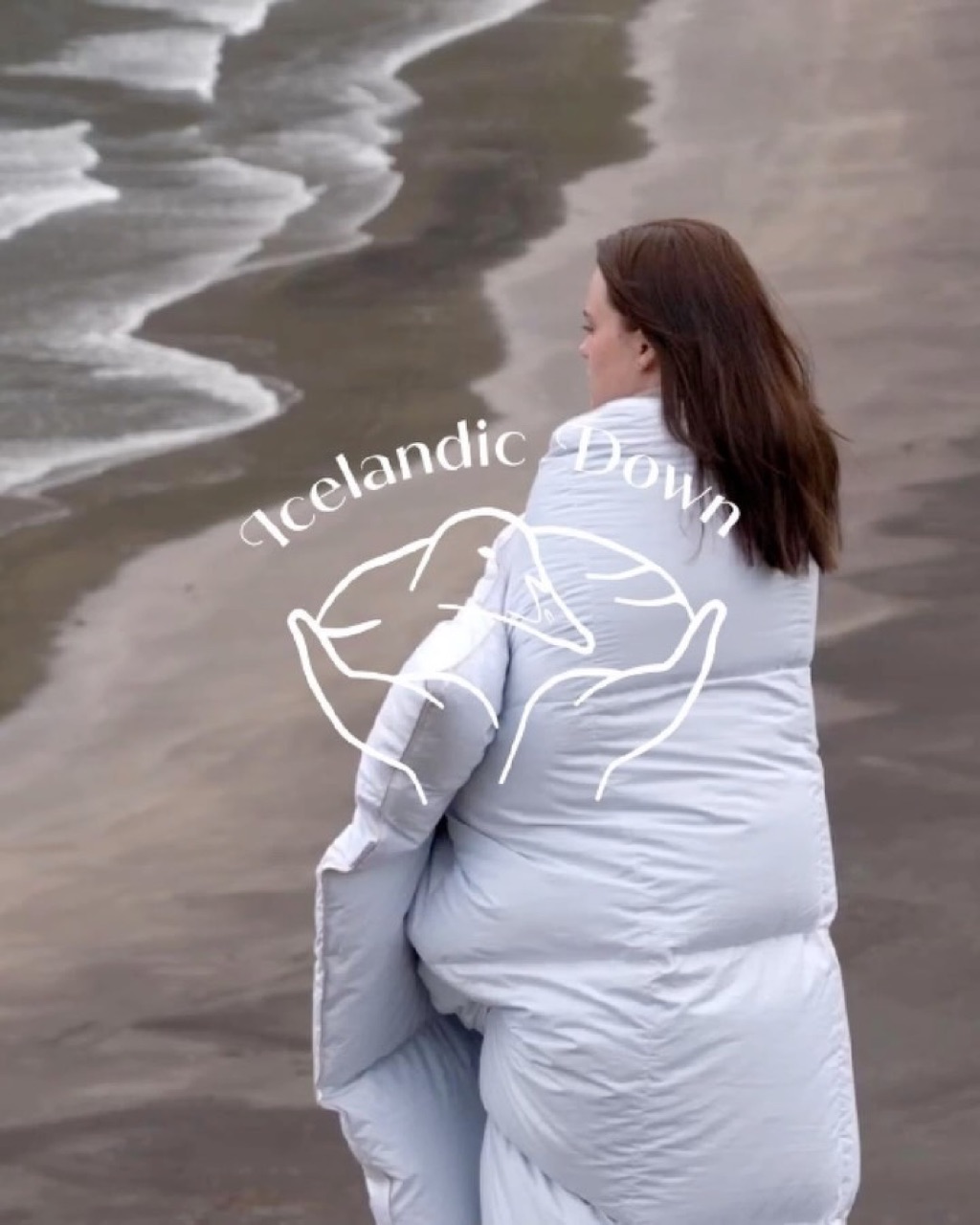 Icelandic Eider Down
